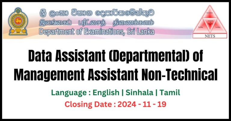 Data Assistant of Management Assistant